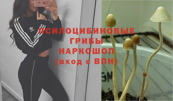 амфетамин Няндома